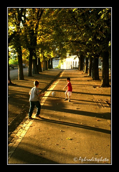 025 La promenade de la Treille dans la vieille ville